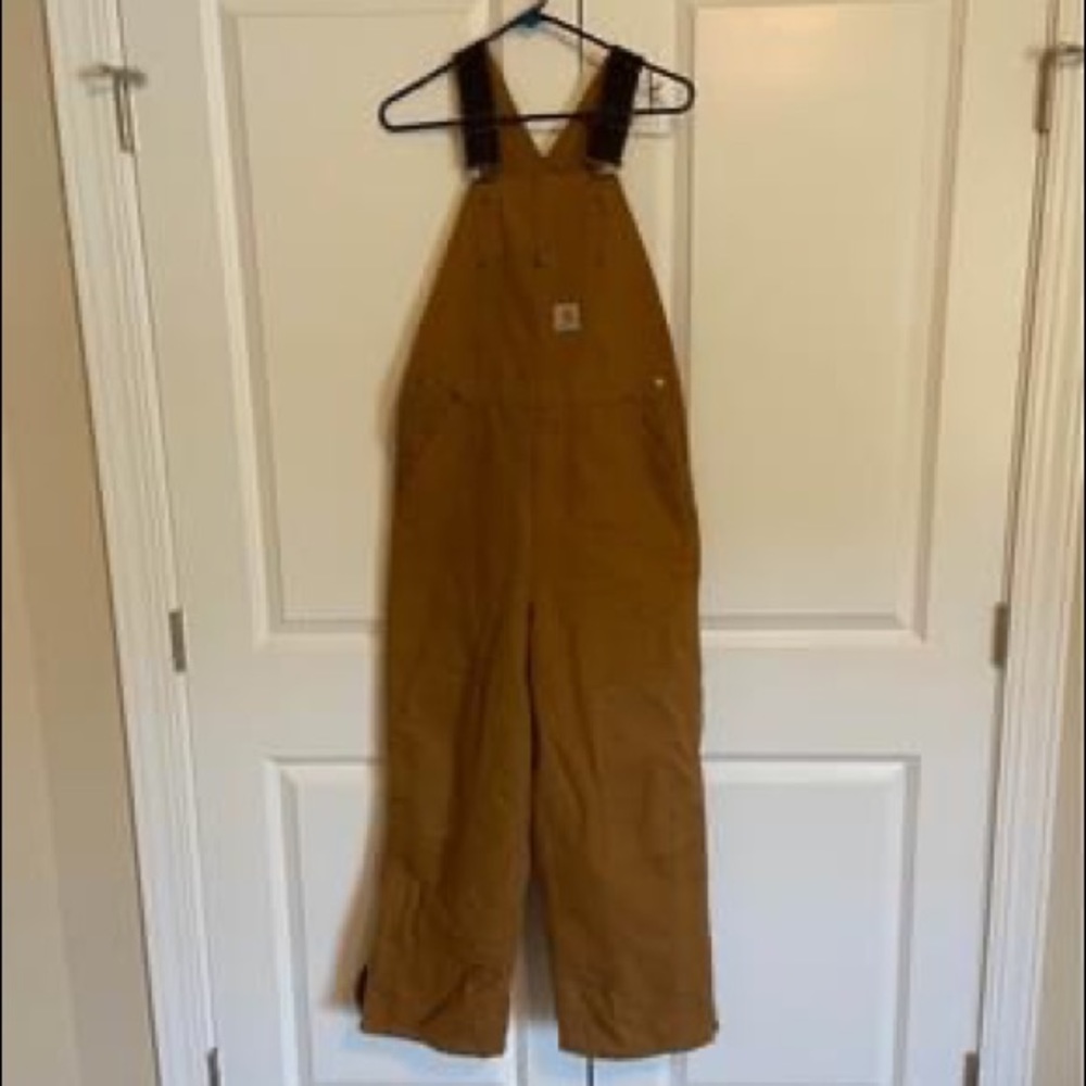 Carhartt insulated overalls